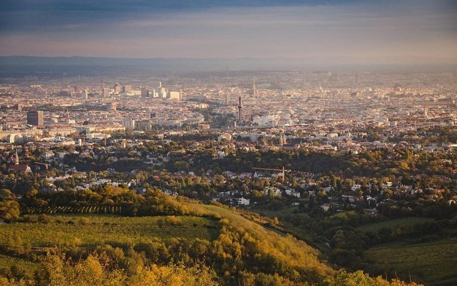 Vienna: Private Half-Day Sightseeing Tour - Schönbrunn Palace requires a clear choice