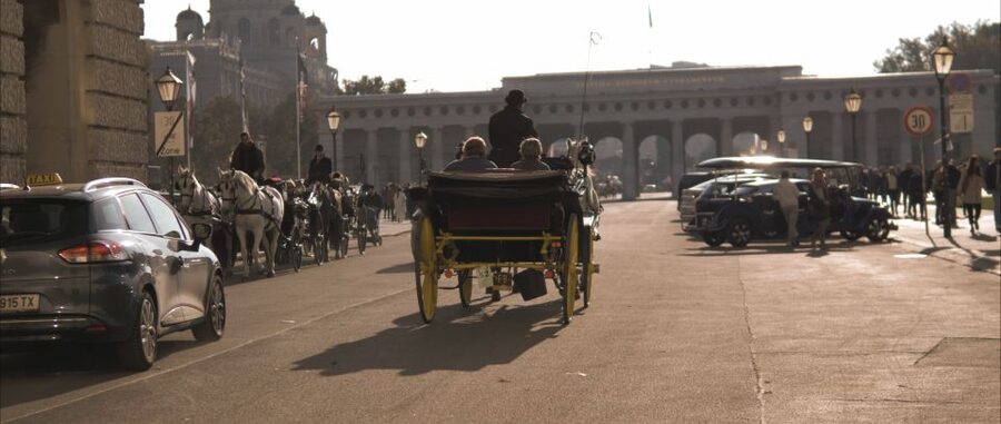 Vienna: Private Walking Tour to The Hofburg & Graben Street - Key points to know before you book