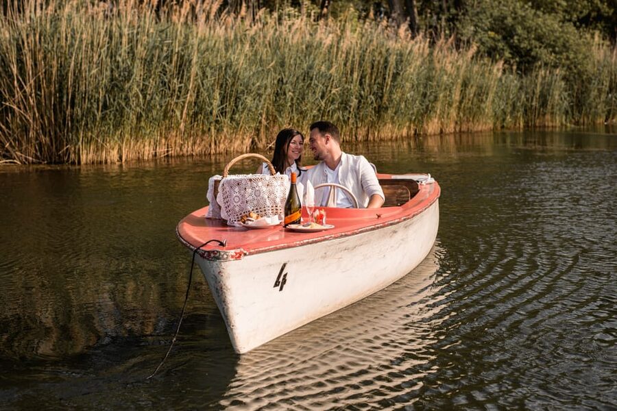 Vienna: Retro Boat Tour on the Danube River with Picnic - A quiet alternative to central Vienna sightseeing