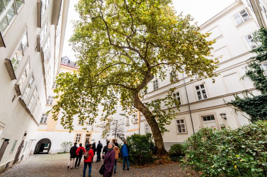 Vienna: Romantic Old Town 2-Hour Discovery Tour - What the guides add to the experience