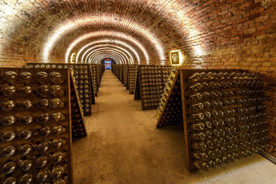 Vienna: Schlumberger Wine Cellar Guided or Self-Guided Tour - Riddling bottles by hand