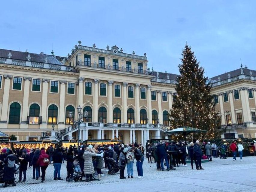 Vienna: Schönbrunn Palace & Christmas Market Walking Tour - Practical details that can save your tour