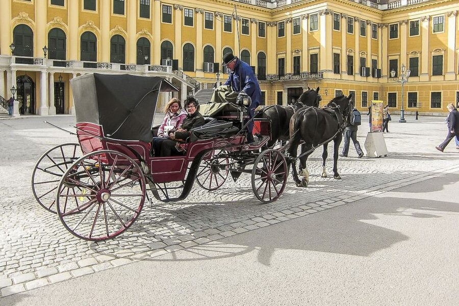 Vienna: Schönbrunn Palace & Gardens Skip-the-Line Tour - Practical tips for a smoother visit