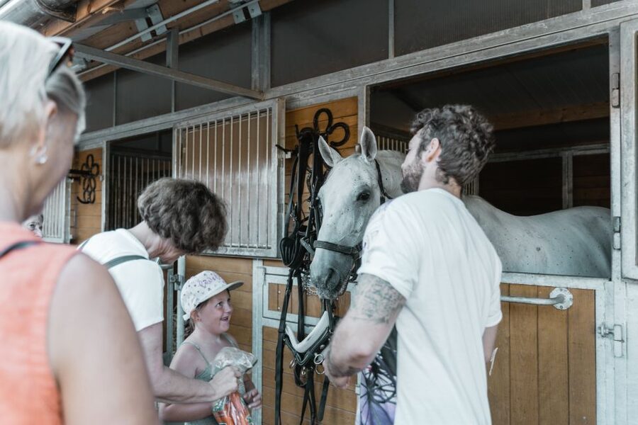 Vienna: Secrets of the Fiaker & Horse-Drawn Carriage Ride - Should you book the Secrets of the Fiaker experience?