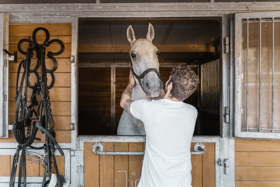 Vienna: Secrets of the Fiaker & Horse-Drawn Carriage Ride - Inside the original Viennese Fiaker stable