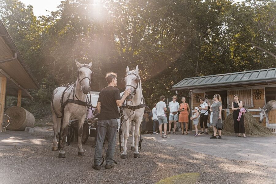 Vienna: Secrets of the Fiaker & Horse-Drawn Carriage Ride - Small details that make the ride better