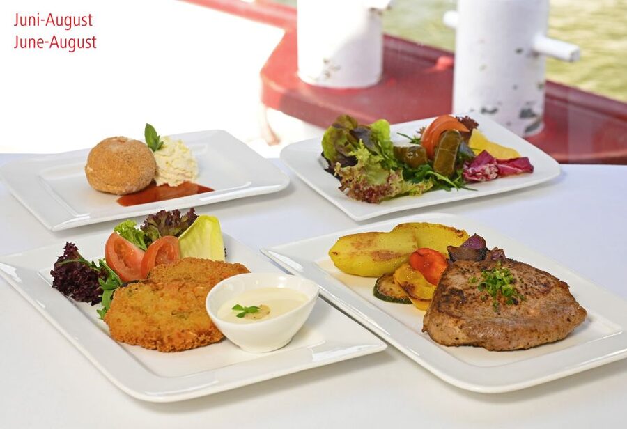 Vienna: Sightseeing Boat Tour with Lunch - Should you book the Vienna lunch cruise?