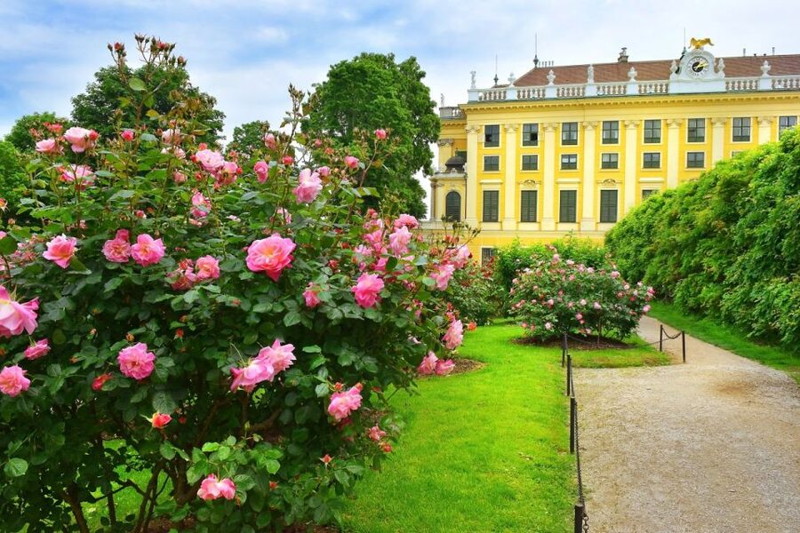 Vienna: Skip-the-Line Schonbrunn Palace Private Tour - What the guide adds to the experience