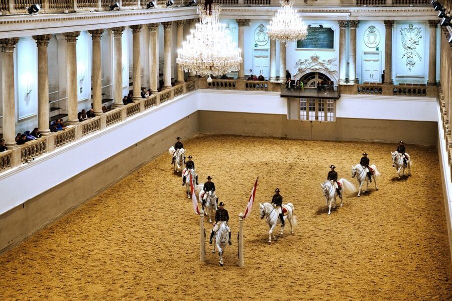 Vienna: Spanish Riding School 45-Minute Performance Show - A 45-minute introduction to classical horsemanship