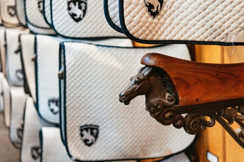 Vienna: Spanish Riding School Guided Architectural Tour - Is $30 good value?