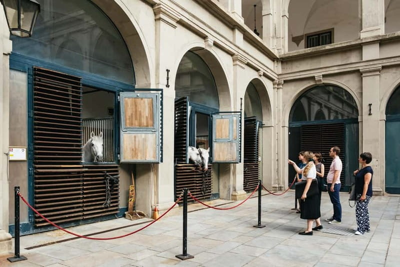 Vienna: Spanish Riding School Guided Architectural Tour - The winter riding school and Late Baroque style