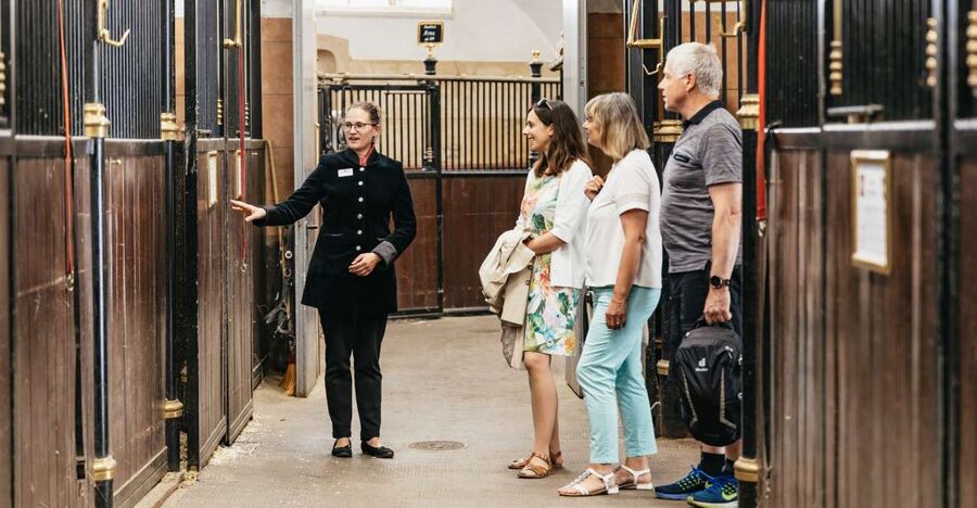 Vienna Spanish Riding School Guided Tour - Key points to know before you go