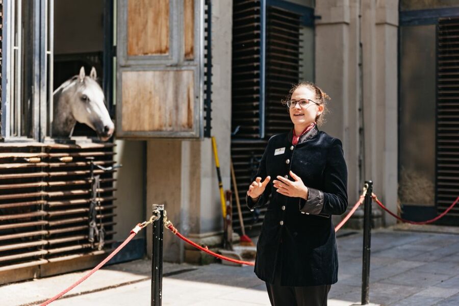 Vienna Spanish Riding School Guided Tour - Who will enjoy this tour most