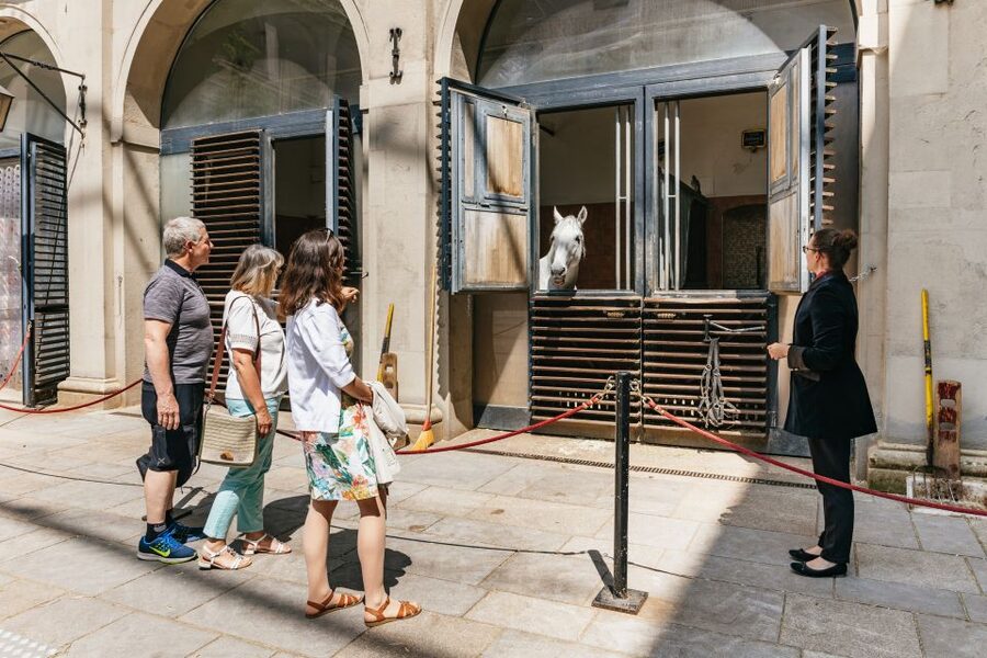 Vienna Spanish Riding School Guided Tour - Inside the Stallburg’s Renaissance courtyard
