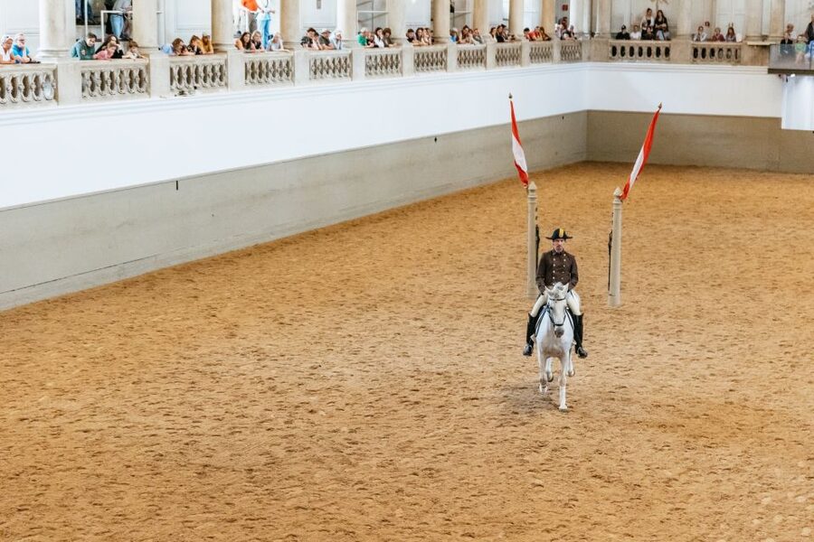 Vienna: Spanish Riding School Training - Who should book this experience
