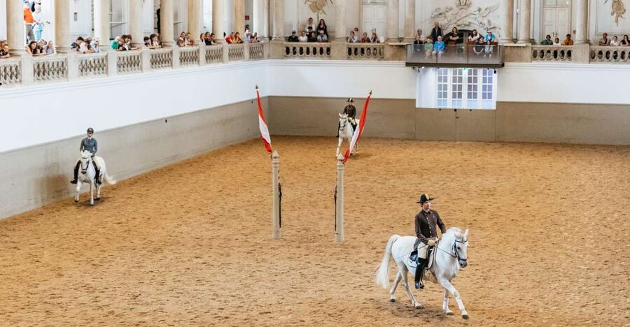Vienna: Spanish Riding School Training - A typical one-hour session