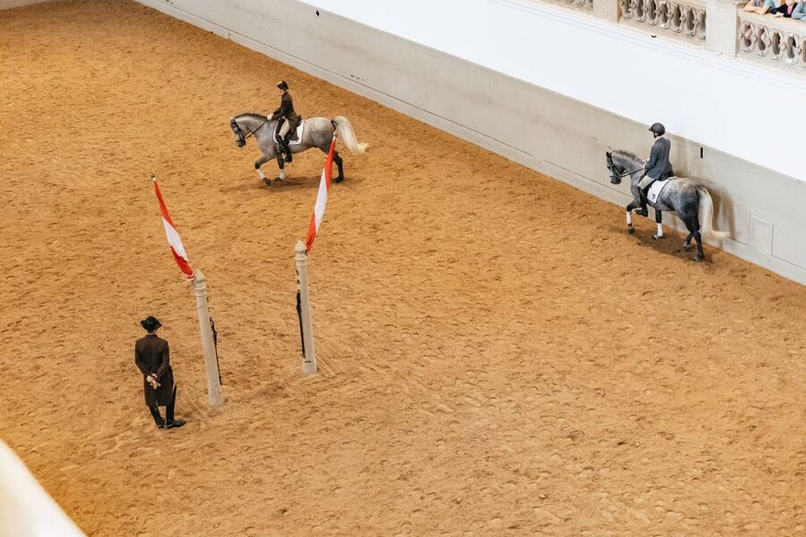 Vienna: Spanish Riding School Training - Photography rules and the atmosphere