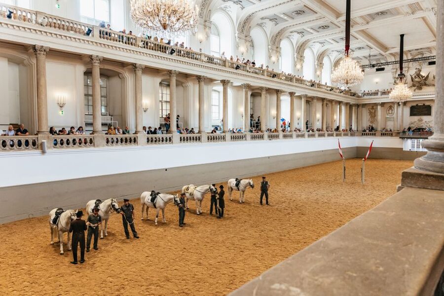 Vienna: Spanish Riding School Training - Inside the Winter Riding Academy