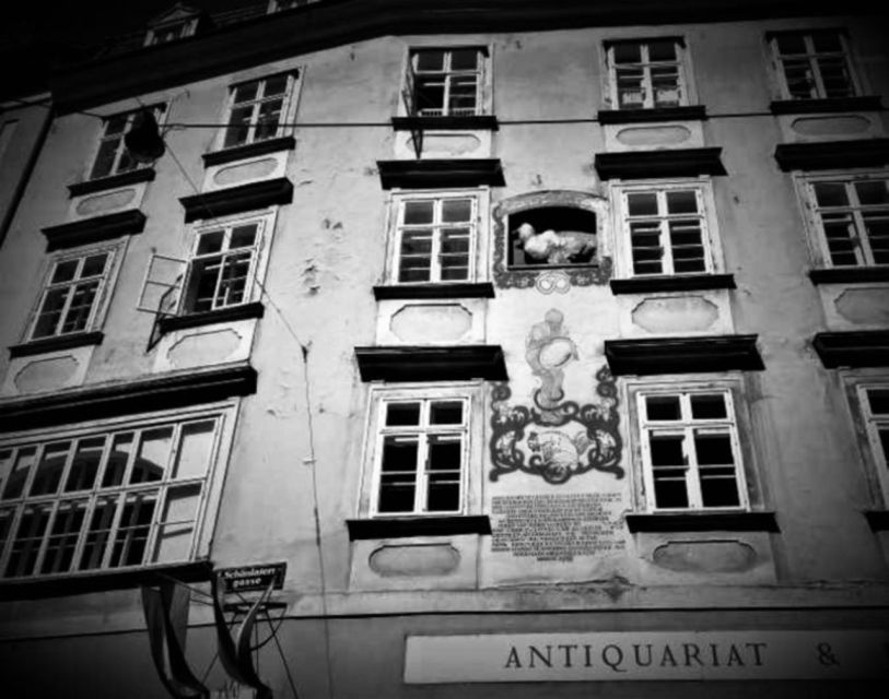 Vienna: Spooky Ghost Tour in English - Key points to know before you book