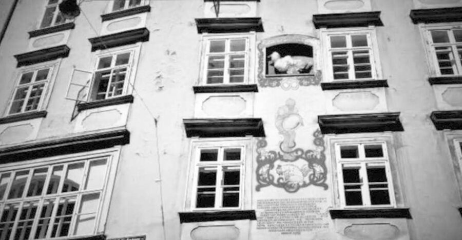 Vienna: Spooky Ghost Tour in English - Blood Alley and the gruesome details behind grand Vienna