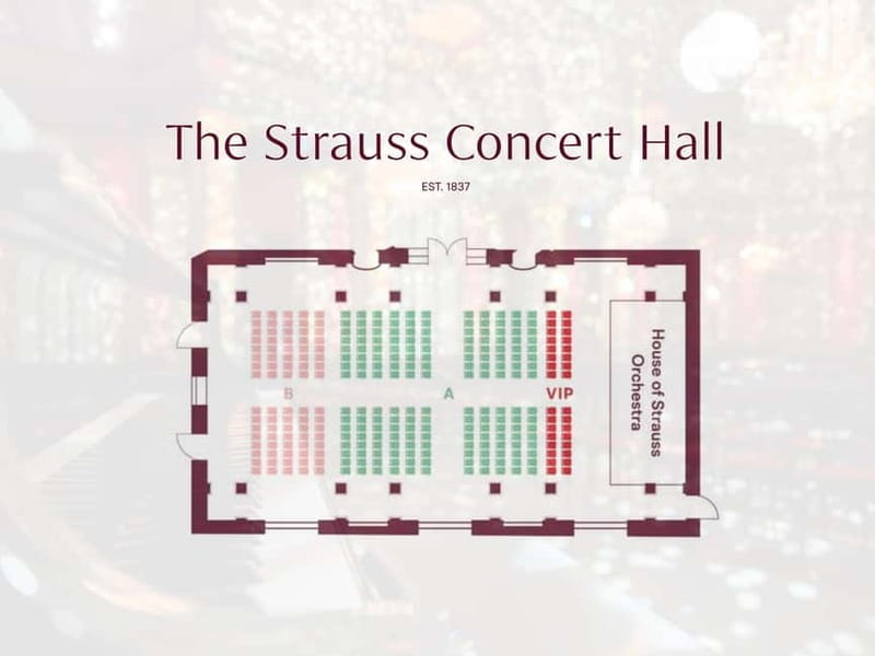 Vienna: Strauss Classical Concert with Soprano & Light Show - How the synchronized light show changes the music