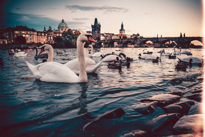 Vienna to Prague - Private Transfer with 2 hours of Sightseeing - How good is the driving and local information?