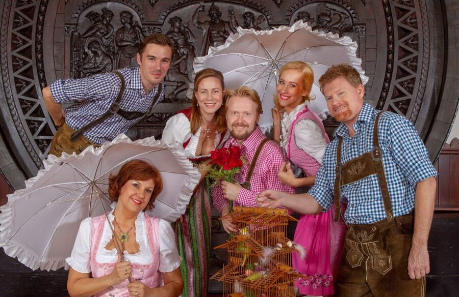 Vienna: Traditional Dinner Show at the Wiener Rathauskeller - Practical planning for Rathausplatz 1
