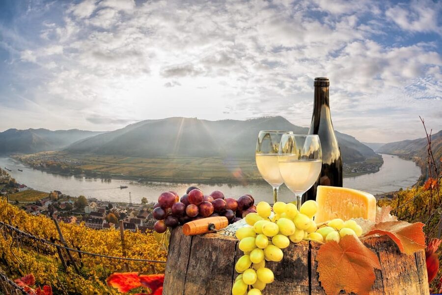 Vienna: Vienna Woods Tour with Underground Lake and Wine - The Vienna Woods drive and rural views