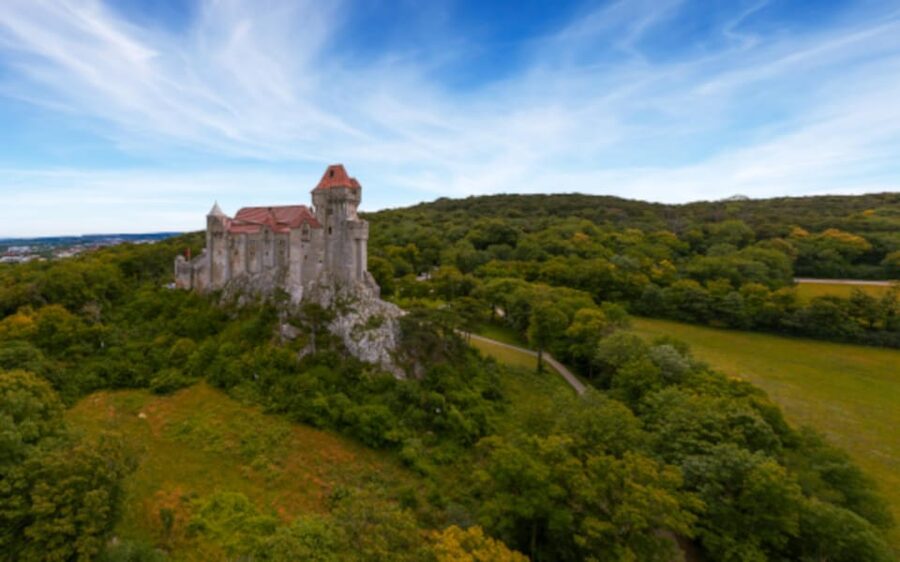 Vienna: Vienna Woods Tour with Underground Lake and Wine - Who will enjoy this tour most