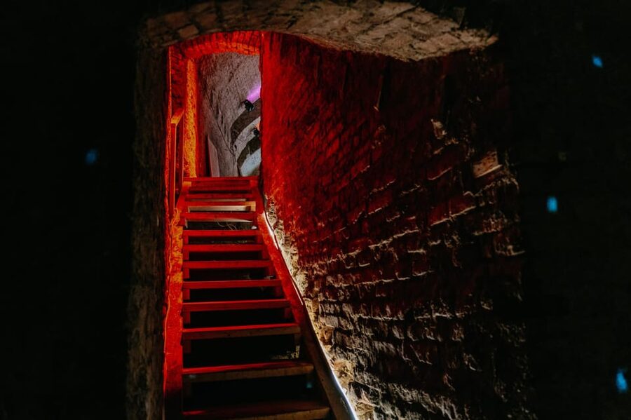 Vienna: Viennese Underworld Guided Walking Tour - Why Vienna’s cellars make a strong history tour