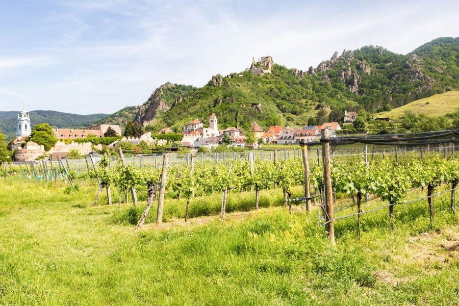 Vienna: Wachau Valley, Melk Abbey Tour with Danube Boat Trip - What the 510-minute schedule feels like