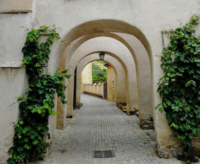 Vienna: Wachau Valley Private Kayak and Wine Tour - What the $882 price really buys you