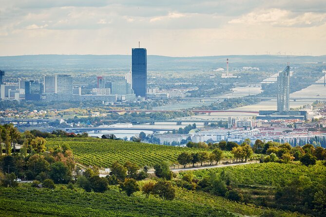 Vienna Wine Experience - Buschenschank and Heurigen: wine with a local setting