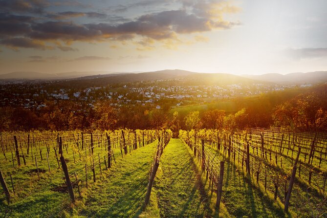 Vienna Wine Experience - Caroline’s guiding style and the private format
