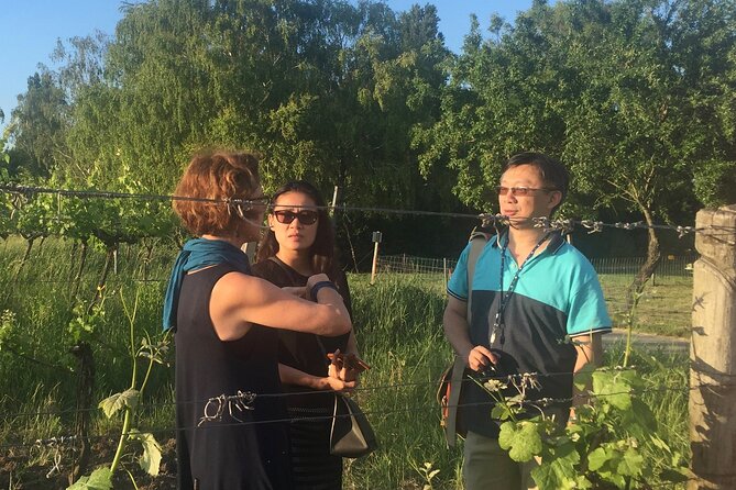 Vienna Wine Experience - Weather, walking, and timing