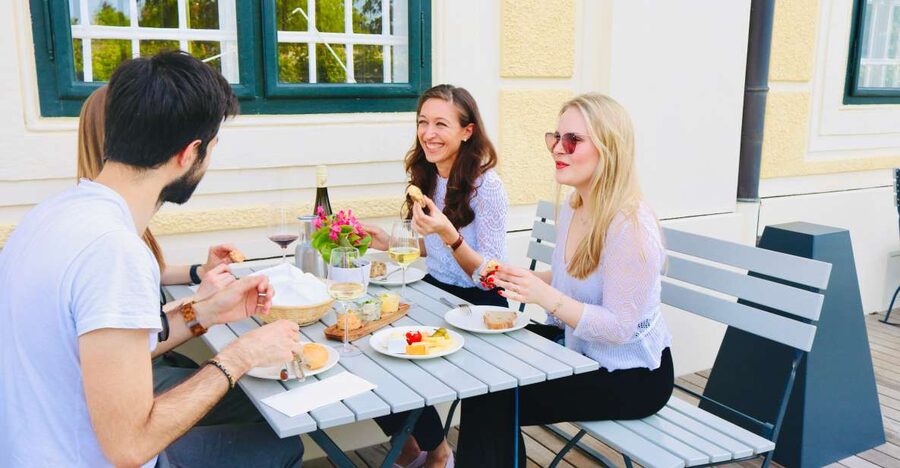 Vienna: Wine Tasting at Schönbrunn Palace - The strongest reason to book: variety in a short session