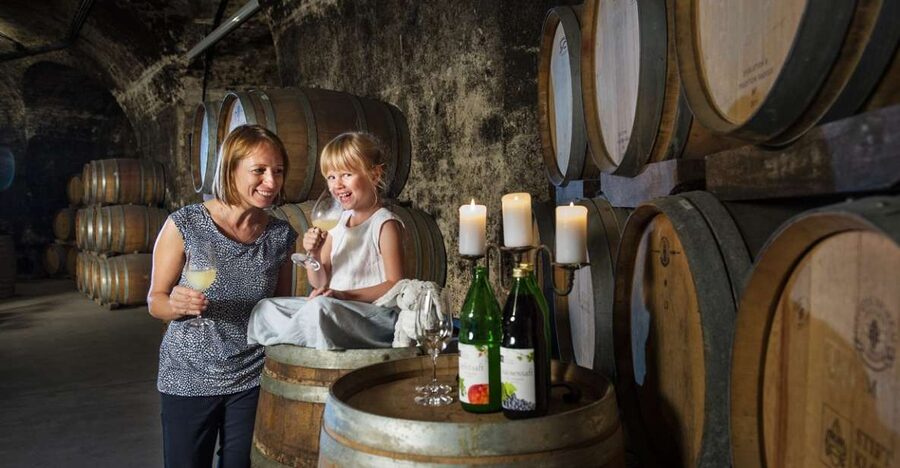 Vienna: Wine Tasting E-Bike Tour - Key Points Before You Book