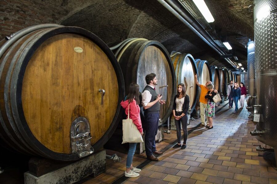 Vienna: Wine Tasting E-Bike Tour - From Vienna’s Ringstrasse to the Danube Canal