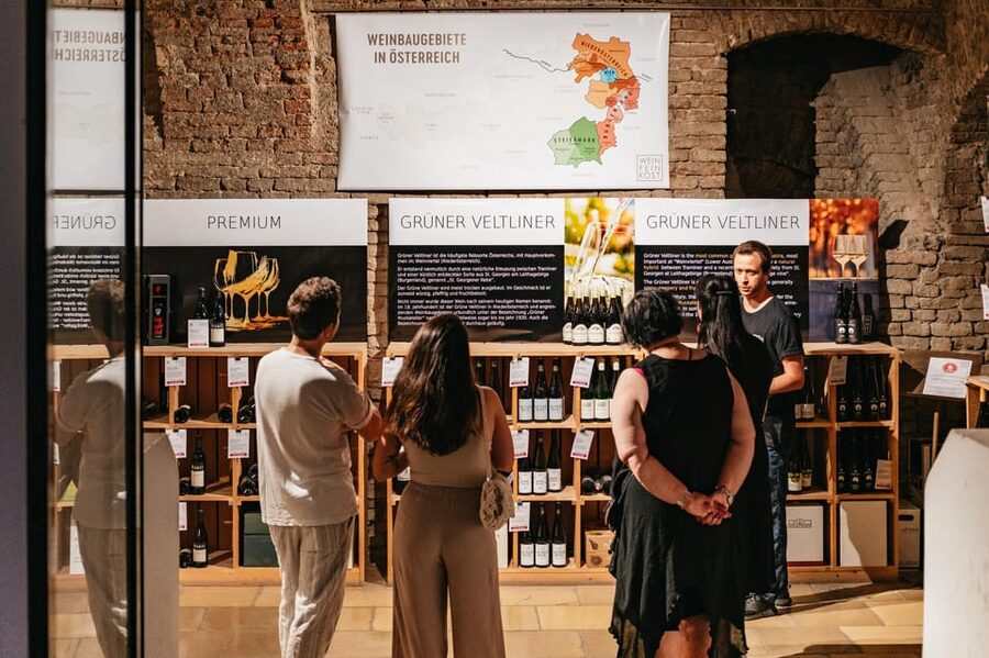 Vienna: Wine Tasting Experience in a Private Wine Cellar - The 30-minute self-guided option