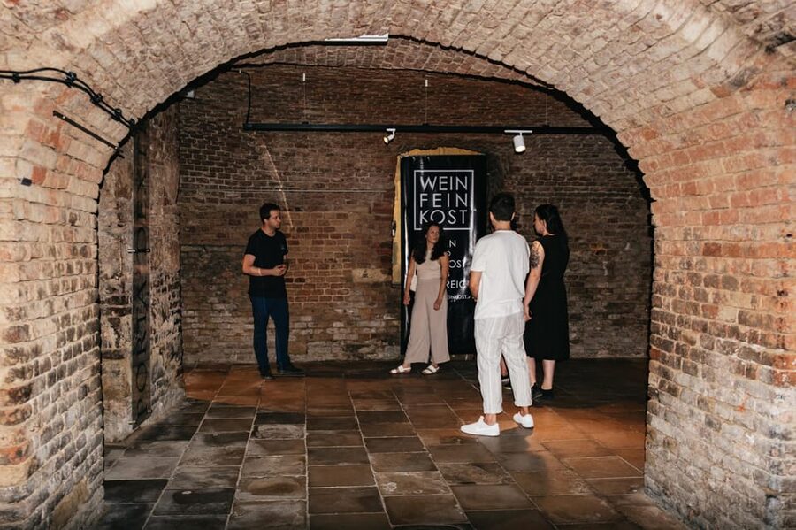 Vienna: Wine Tasting Experience in a Private Wine Cellar - Group size, atmosphere, and the guide
