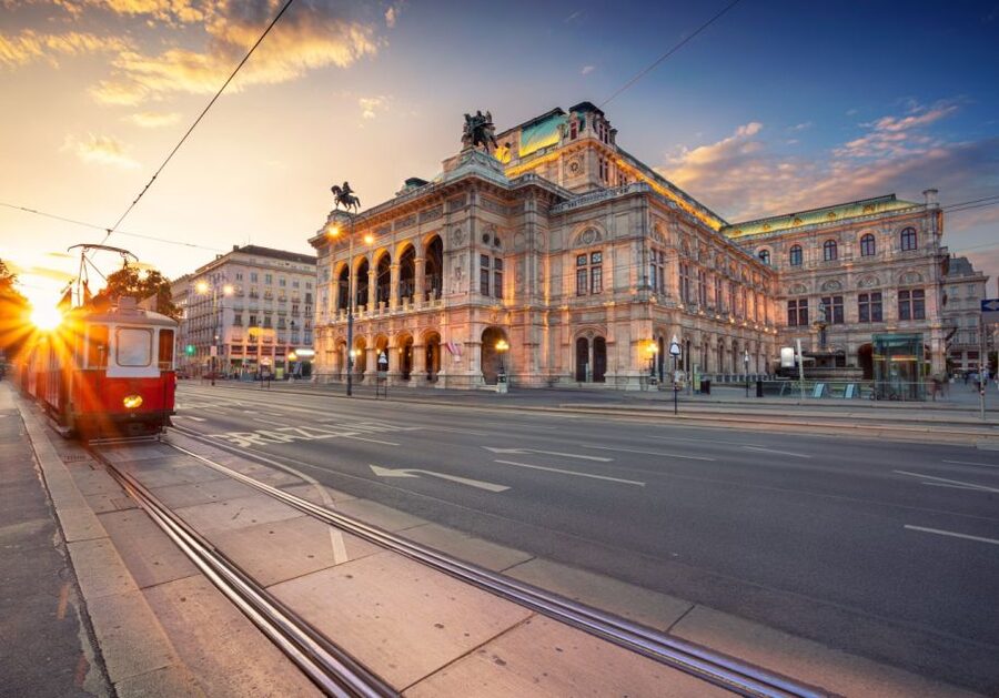Vienna: Winery and Wine Tasting Tour with a Wine Expert - Key points at a glance