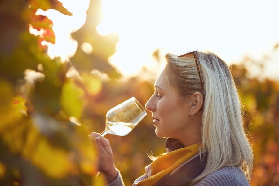 Vienna: Winery and Wine Tasting Tour with a Wine Expert - Why Vienna makes a fine wine city