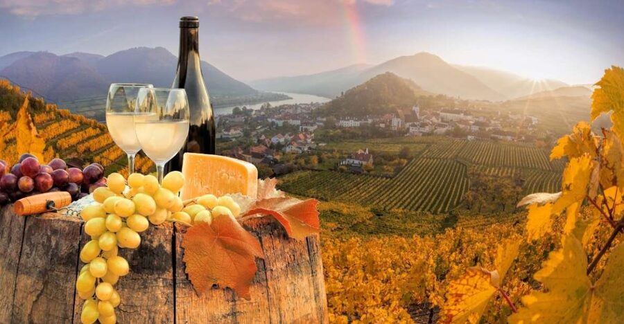 Vienna: Winery and Wine Tasting Tour with a Wine Expert - The three-hour option: wine, food, and Old Town sights