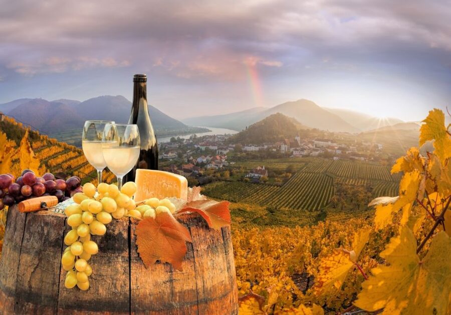 Vienna: Winery and Wine Tasting Tour with a Wine Expert - What your wine guide adds