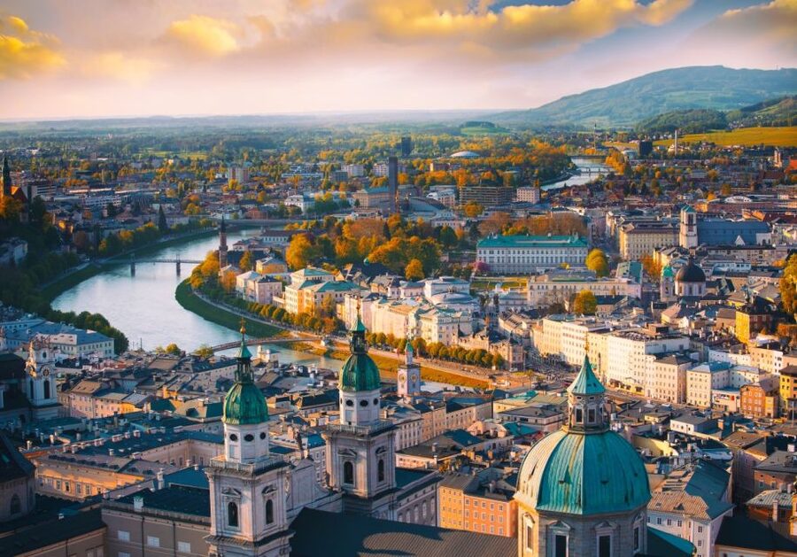 Vienna: Winery and Wine Tasting Tour with a Wine Expert - Who should book this Vienna wine tour?