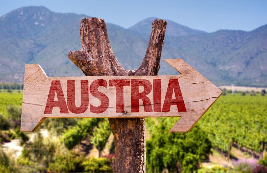 Vienna: Winery and Wine Tasting Tour with a Wine Expert - Practical details before you reserve