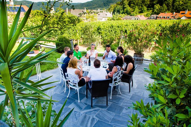 Wachau Valley Private Tour With Melk Abbey Visit and Wine Tastings from Vienna - Melk Abbey and the day’s grand finish
