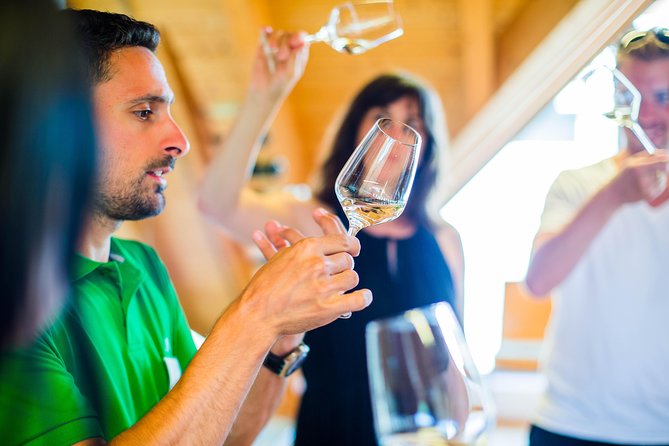 Wachau Valley Small-Group Tour and Wine Tasting from Vienna - Dürnstein and the ruins of Richard the Lionheart’s prison
