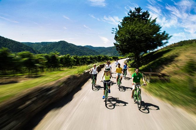 Wachau Valley Wine Tasting Bike Tour from Vienna - Weissenkirchen and the family-run winery
