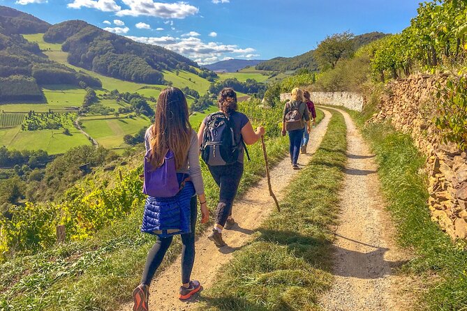 Wachau World Heritage Hike - Key points at a glance